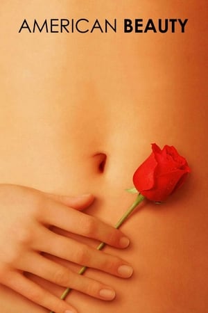 American Beauty 1999 Hindi Dual Audio WEB-DL | Hindi Dubbed Movie