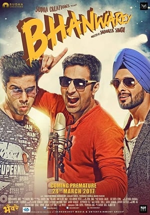 Bhanwarey 2017 Hindi Movie | Hindi Dubbed Movie DVDRip – [300MB]