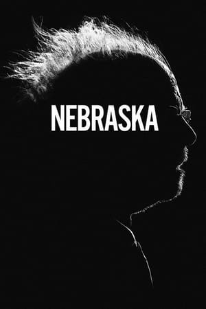 Nebraska 2013 Dual Audio Hindi Movie | Hindi Dubbed Movie BluRay - 1GB