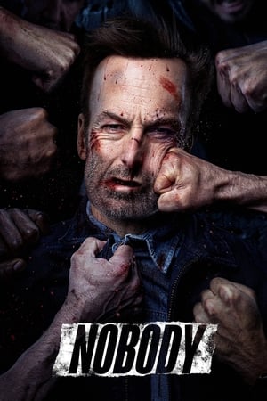 Nobody (2021) Hindi (Cleaned) Dual Audio | Hindi Dubbed Movie Web-DL 320MB