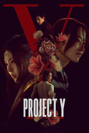 Project Y 2026 Hindi - Korean Dual Audio WEB-DL | Hindi Dubbed Movie