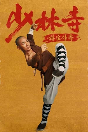 Rising Shaolin: The Protector (2021) Hindi Dual Audio HDRip | Hindi Dubbed Movie – 480p