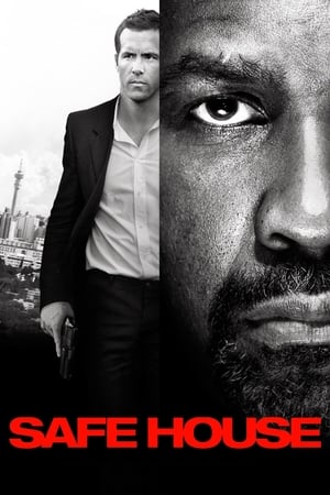 Safe House (2012) Hindi Dual Audio | Hindi Dubbed Movie BluRay 350MB