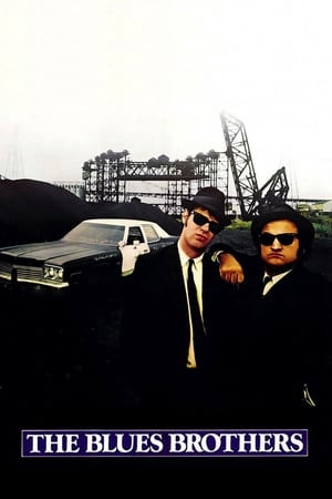The Blues Brothers (1980) Hindi Dual Audio Movie | Hindi Dubbed Movie BluRay - 1.2GB