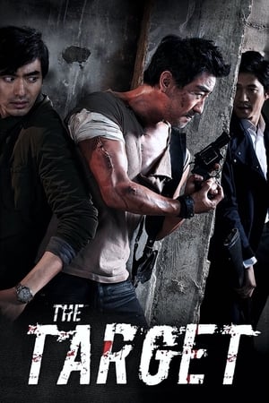 The Target (2014) Hindi Dual Audio | Hindi Dubbed Movie Bluray 300MB